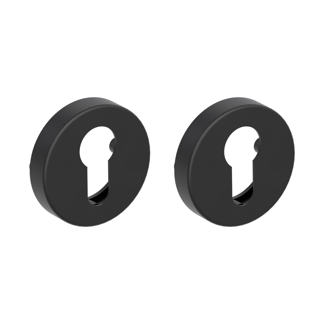 Paire de rosaces clé Cylindre profil européen rond Technique de clip noir graphite