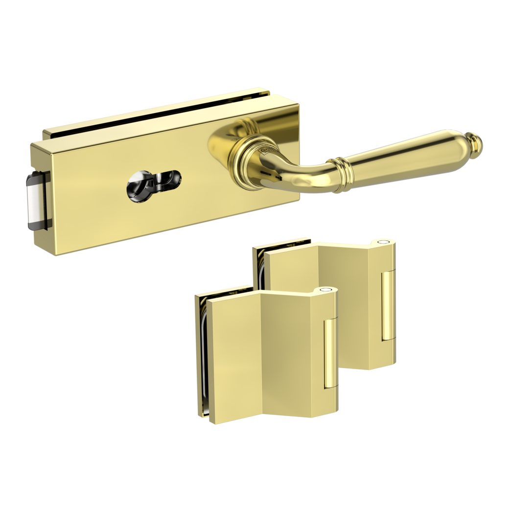 glass door lock set PURISTO S euro profile silent 3-part hinges CAROLA brass look