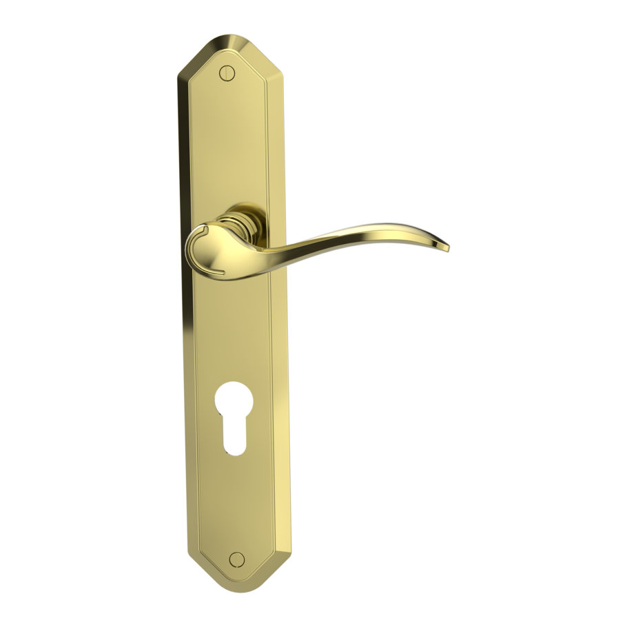 Isolated product image in perfect product view shows the GRIFFWERK long plate set AMADEUS in the version euro profile - brass look - deco screw