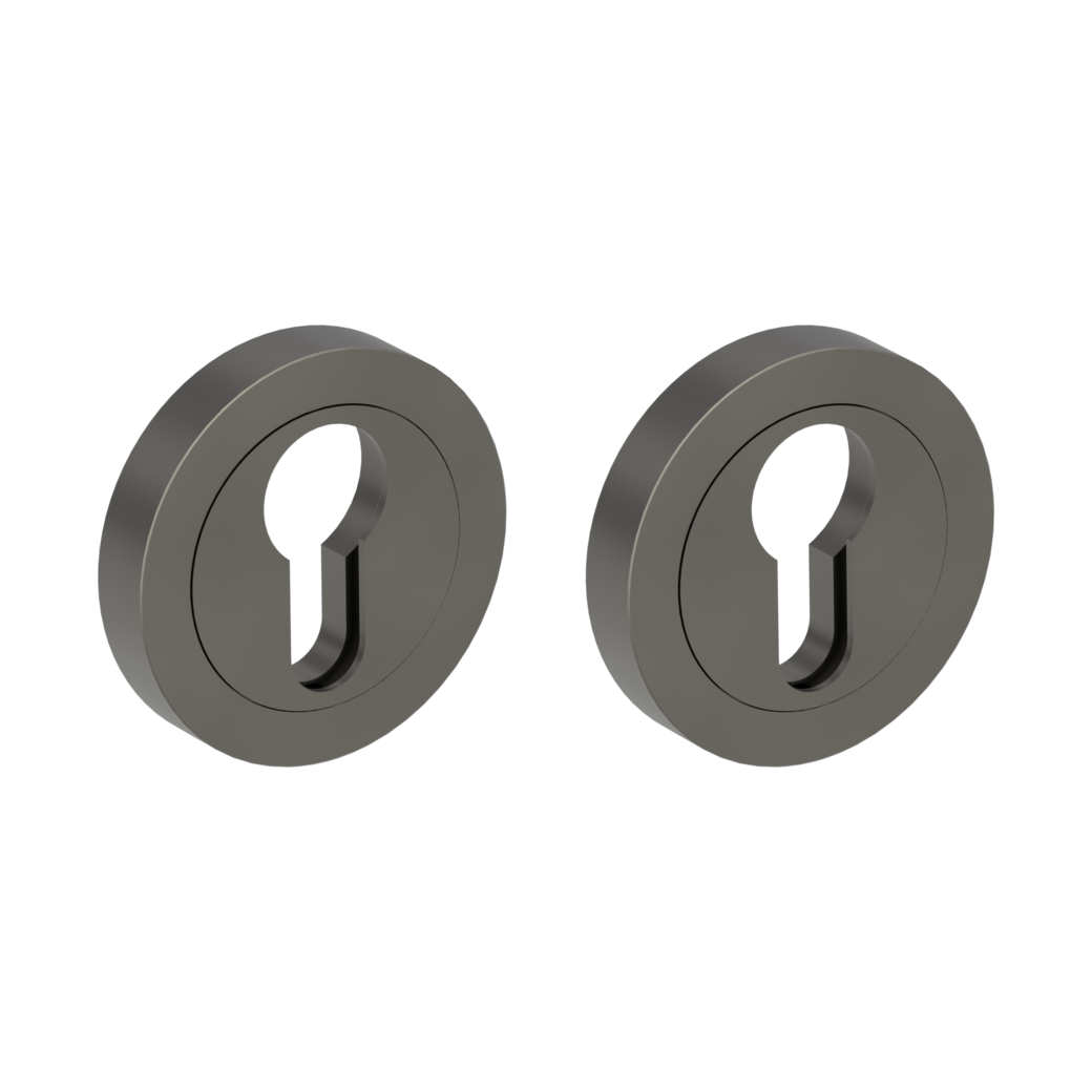 Par de rosetas para llave zinc Cilindro perfilado redondo Montaje atornillado gris cachemira